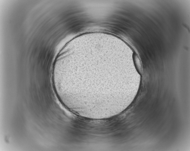 X0000102011437200808151241