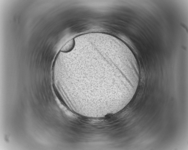 X0000102011439200808151241