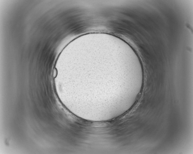 X0000102011440200808151241