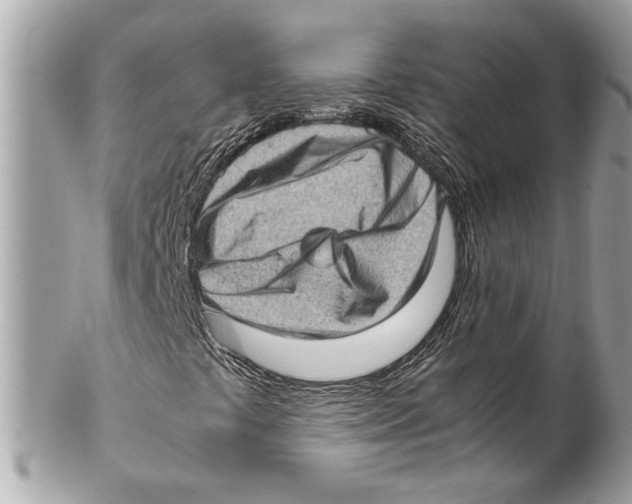 X0000102011441200808151240