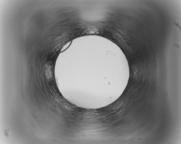 X0000102011442200808151240