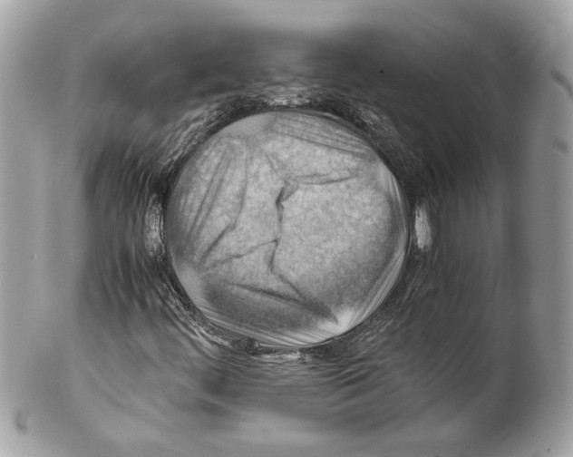 X0000102011444200808151240