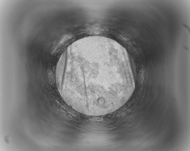 X0000102011446200808151240