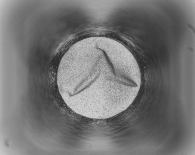 X0000102011447200808151240