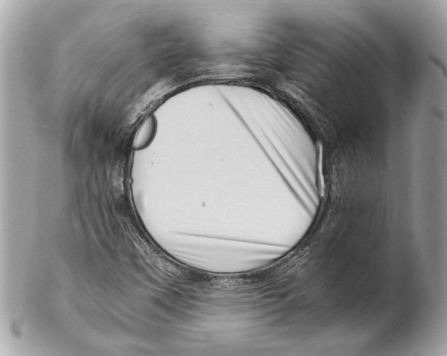 X0000102011451200808151240