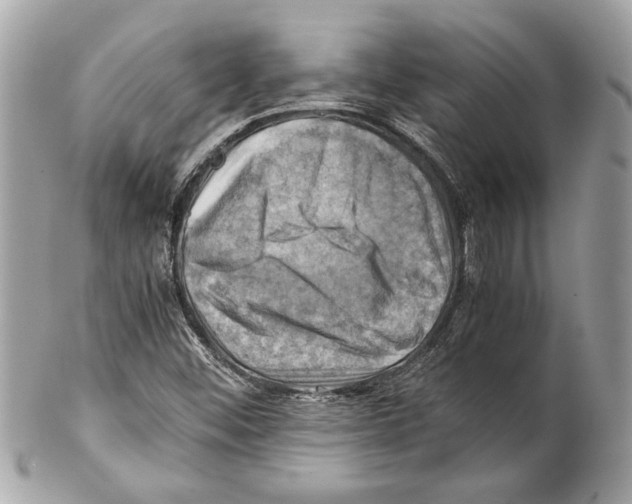 X0000102011452200808151240