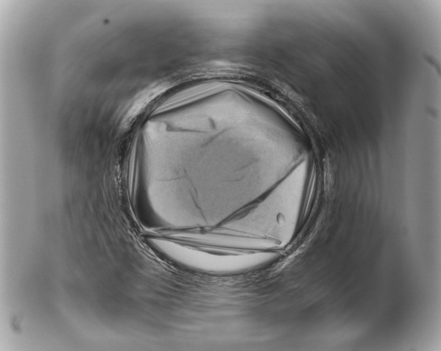 X0000102011453200808151240