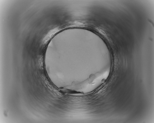 X0000102011455200808151240