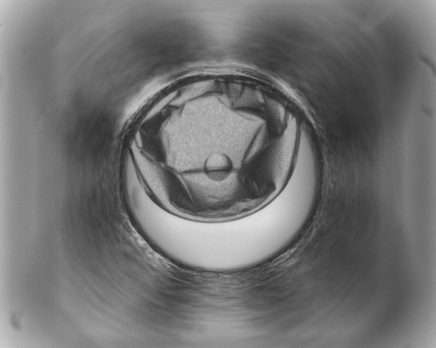 X0000102011456200808151240