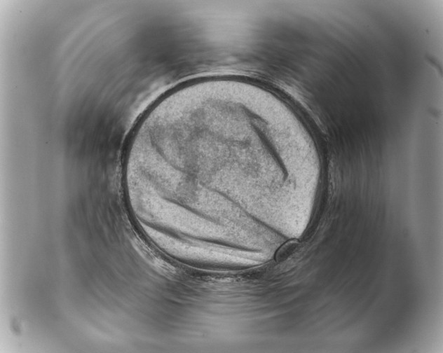 X0000102011460200808151240