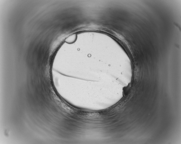 X0000102011464200808151240