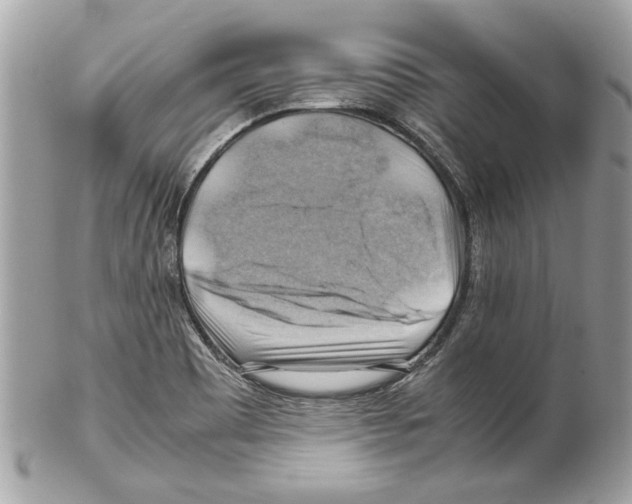 X0000102011465200808151240