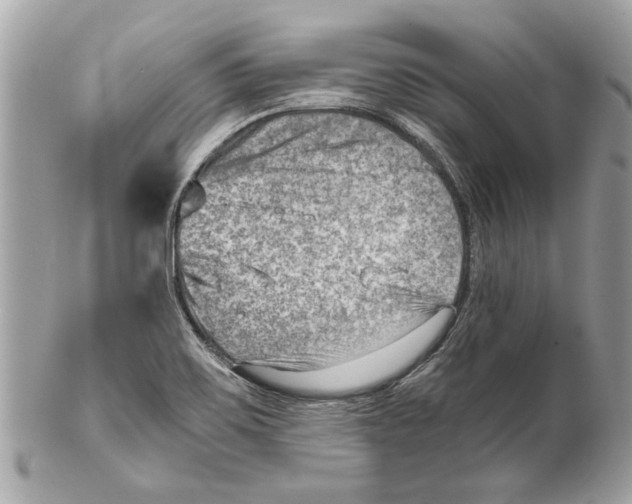 X0000102011467200808151240