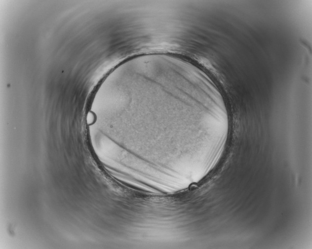 X0000102011469200808151240