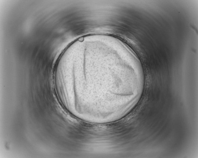 X0000102011470200808151240