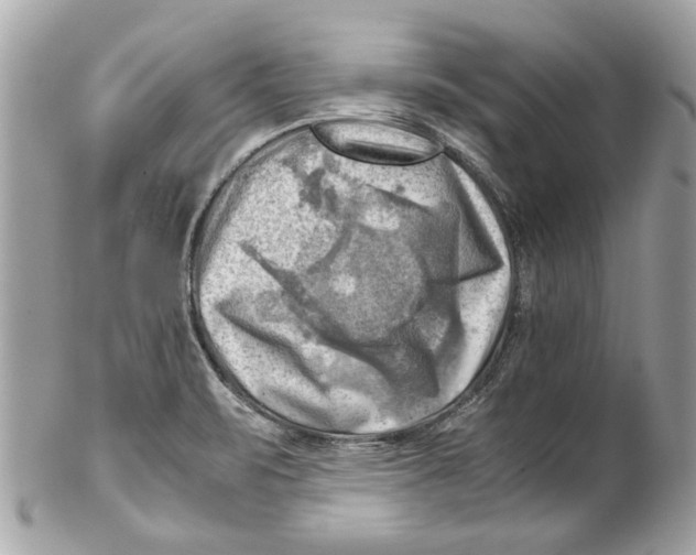 X0000102011471200808151240