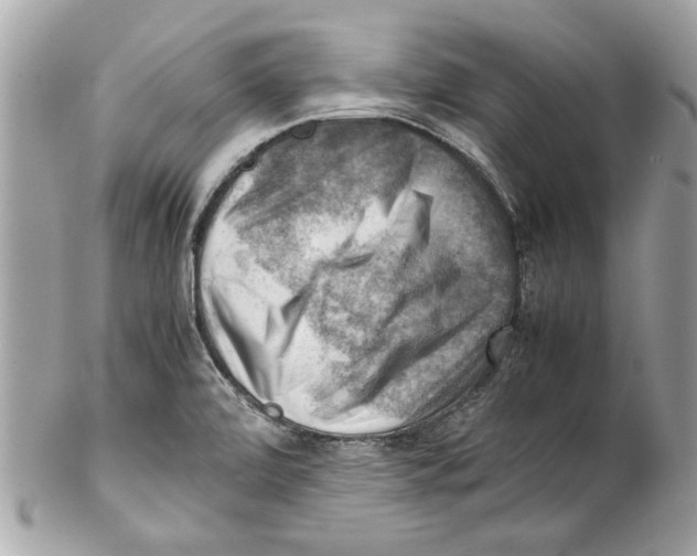 X0000102011472200808151240