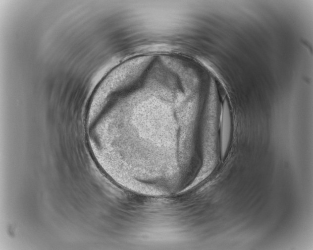 X0000102011475200808151240