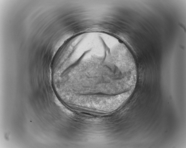 X0000102011476200808151240