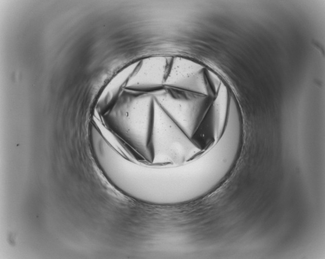 X0000102011477200808151240