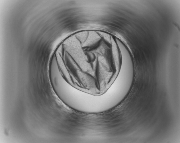 X0000102011480200808151240