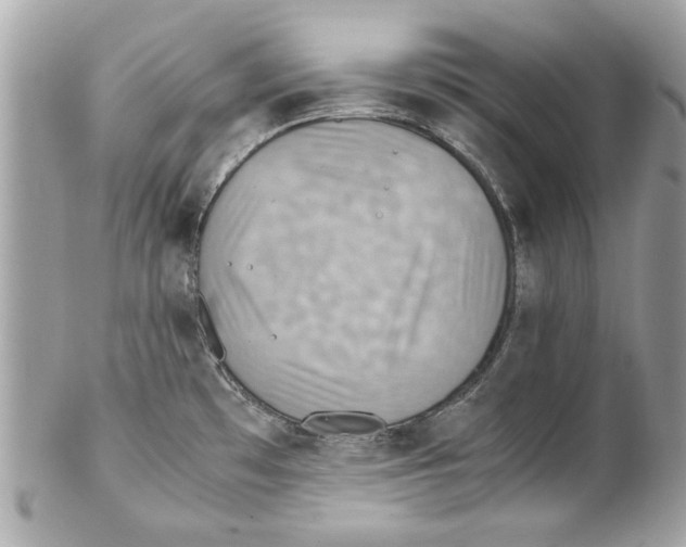 X0000102011481200808151240