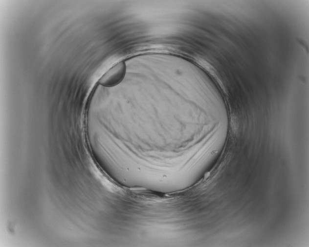 X0000102011482200808151240