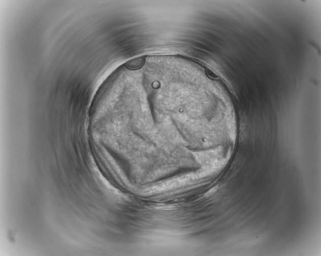 X0000102011484200808151240