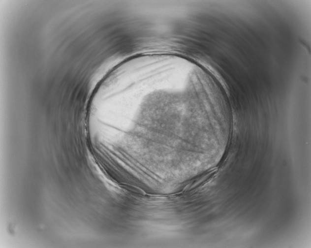 X0000102011485200808151240