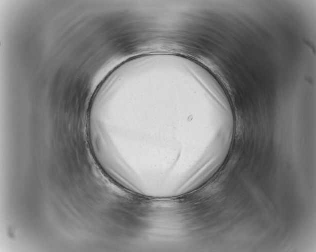 X0000102011486200808151240