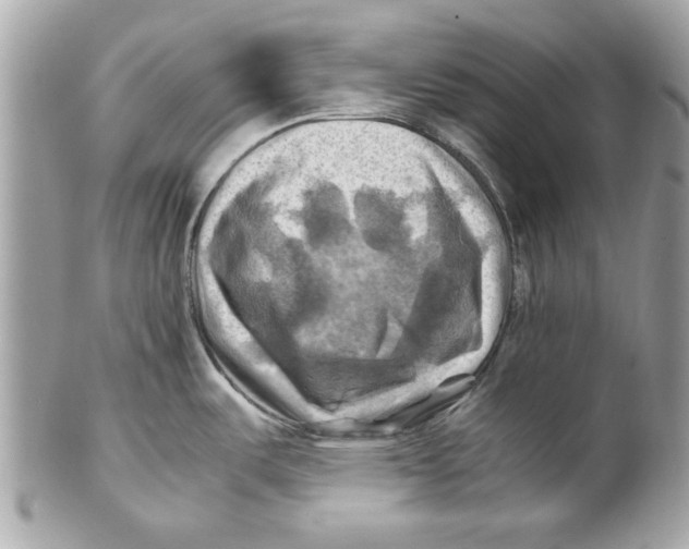 X0000102011487200808151240