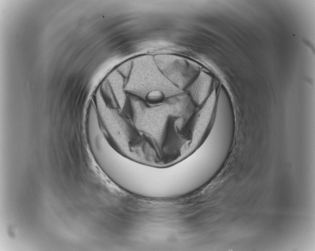 X0000102011488200808151240