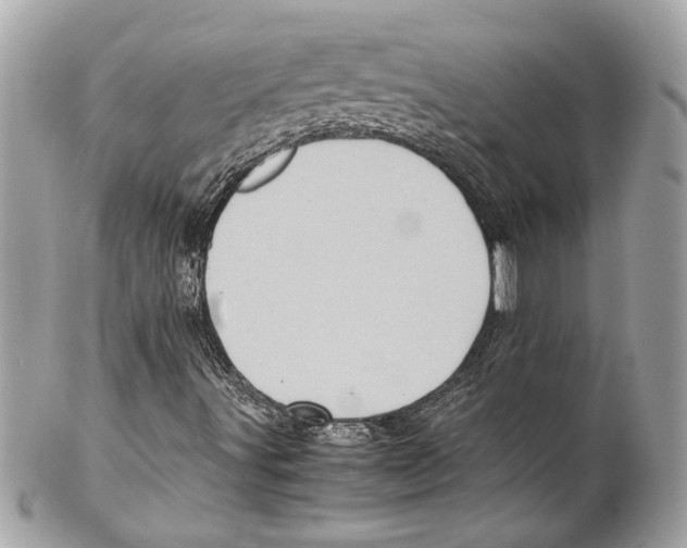 X0000102011491200808151239