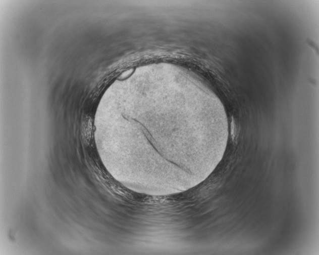 X0000102011492200808151239