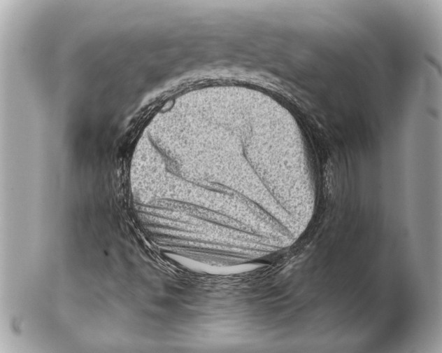 X0000102011494200808151239