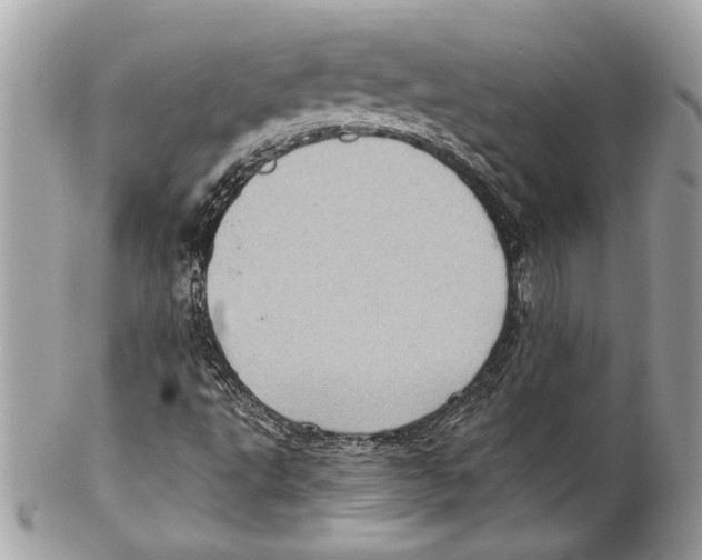 X0000102011495200808151239