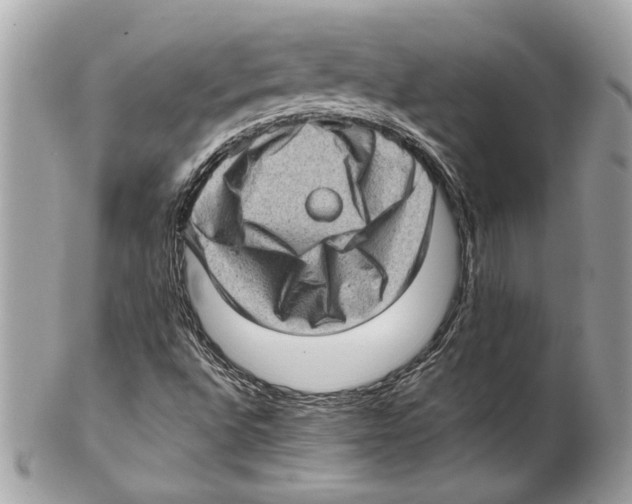 X0000102011496200808151239