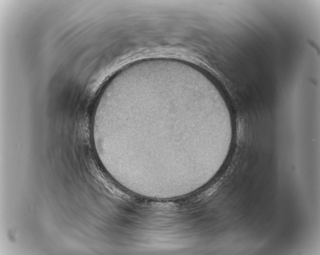 X0000102011498200808151239