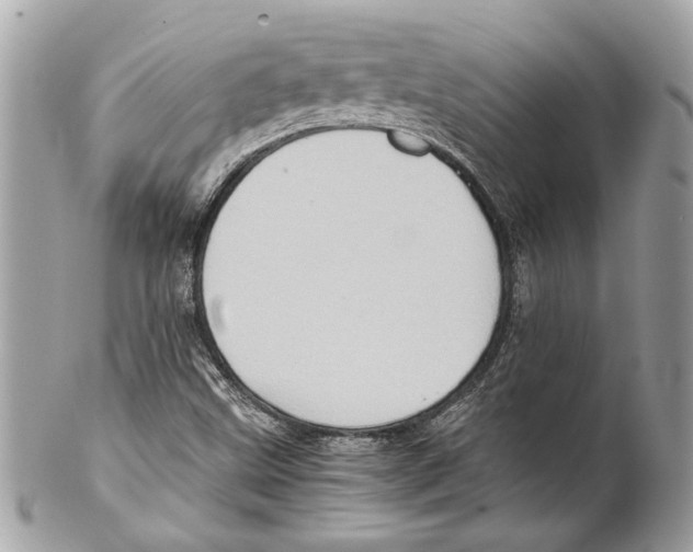 X0000102011499200808151239