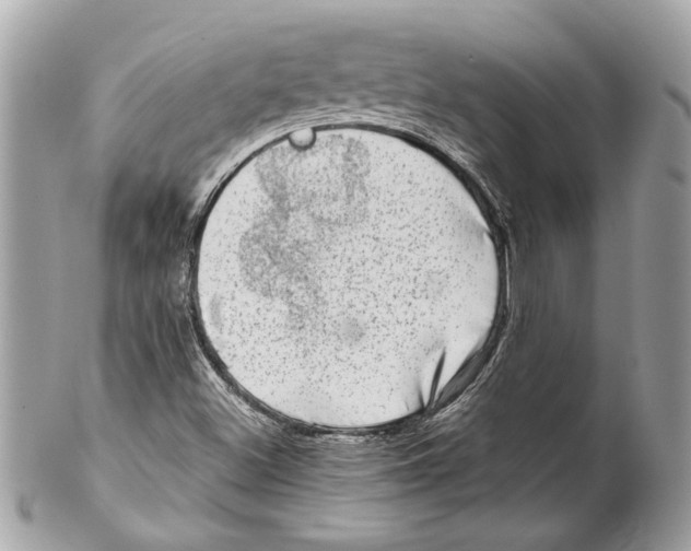 X0000102011500200808151239