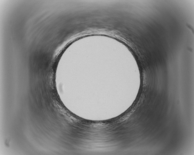 X0000102011502200808151239