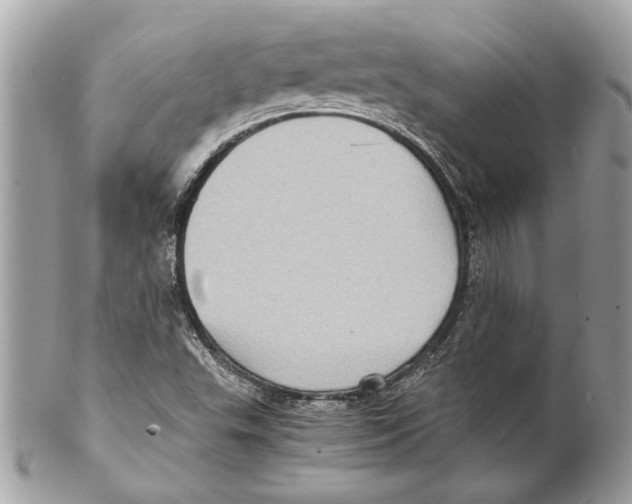 X0000102011503200808151239