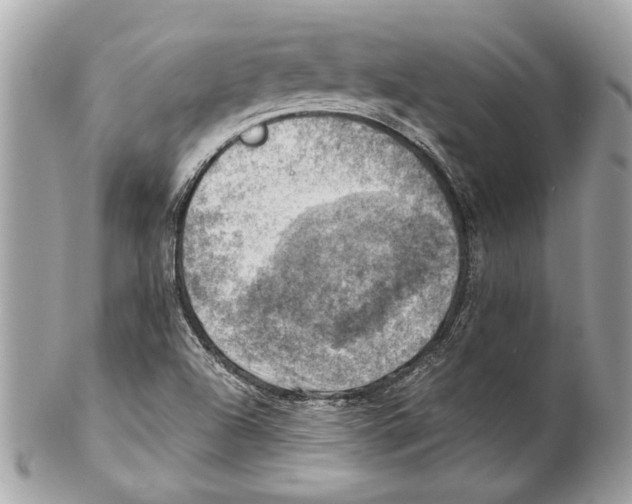 X0000102011504200808151239