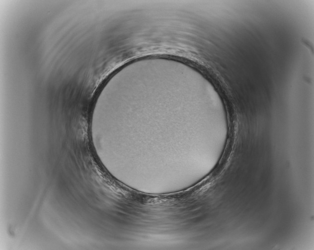 X0000102011505200808151239