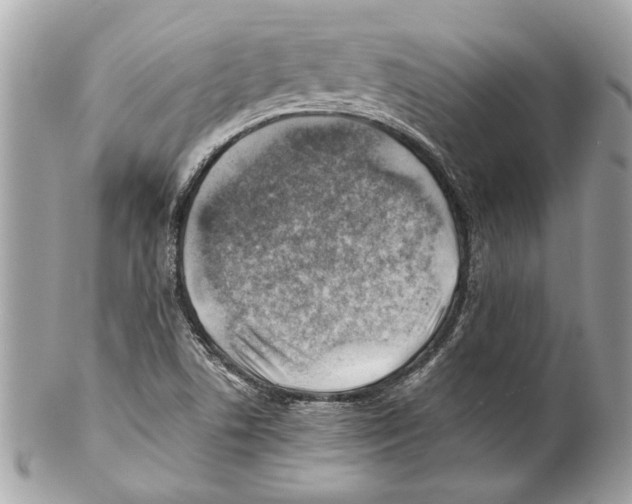 X0000102011506200808151239