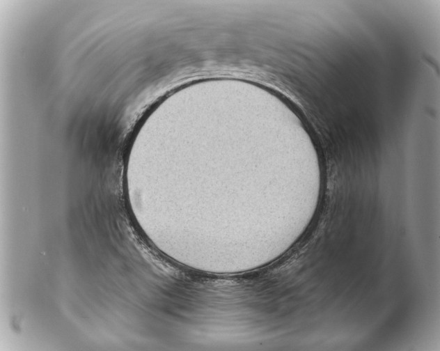 X0000102011507200808151239