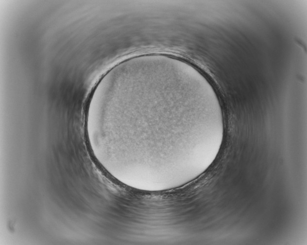 X0000102011508200808151239