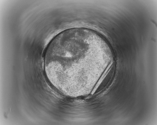 X0000102011509200808151239