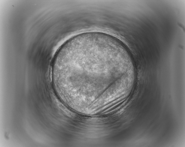 X0000102011510200808151239