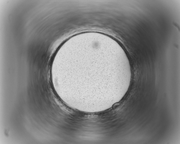 X0000102011511200808151239